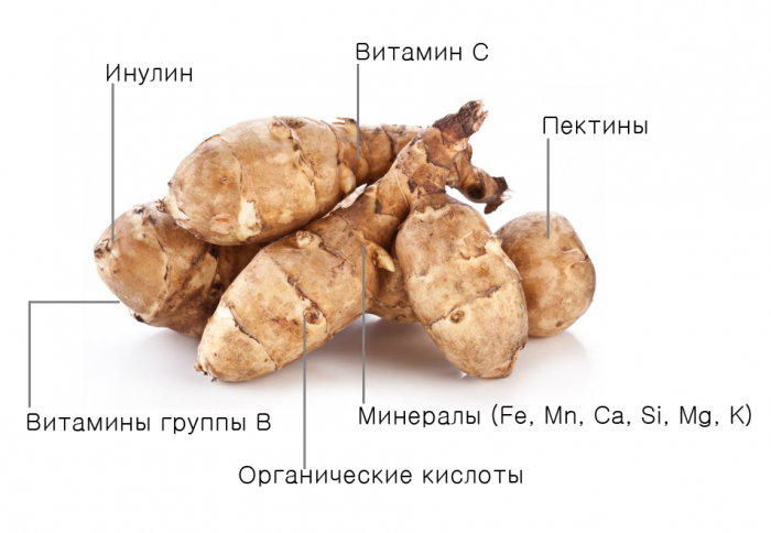 Состав топинамбура