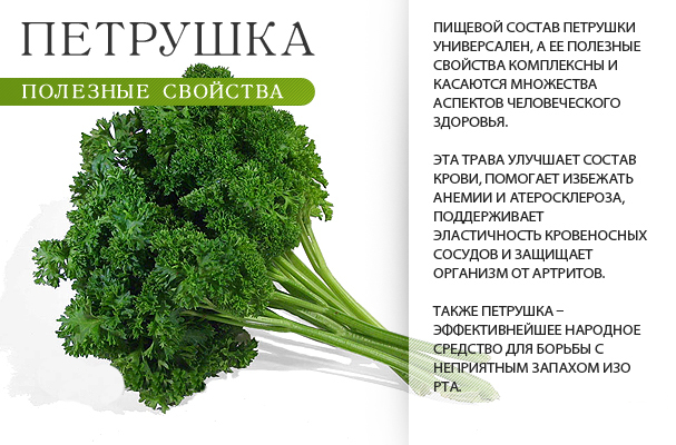 Петрушка