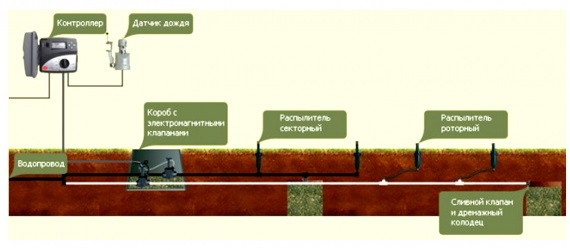 Ландшафтный дизайн: Способы полива газона