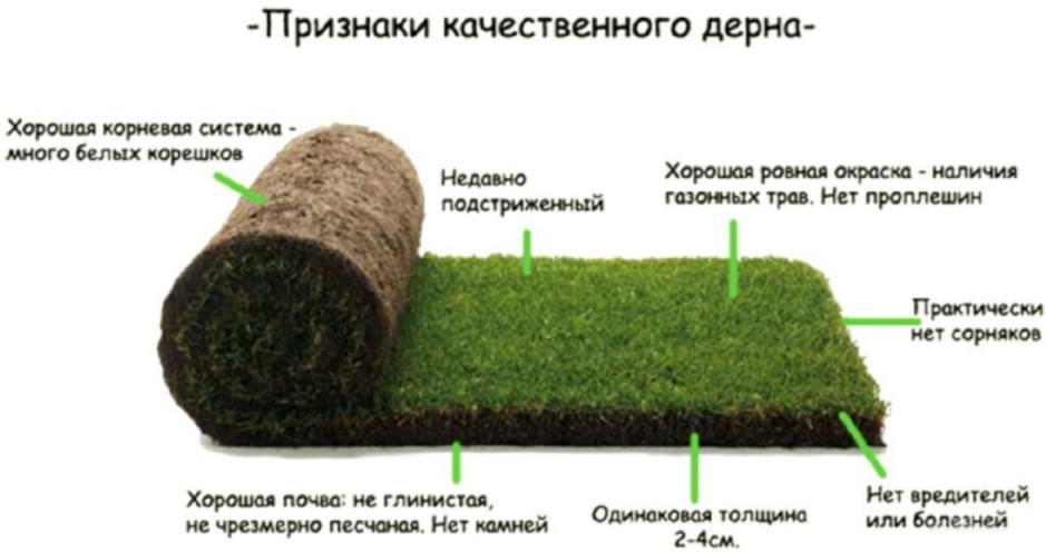 Ландшафтный дизайн: Укладка рулонного газона своими руками