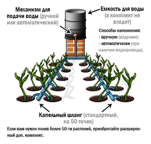 Техника и инструменты для дачи: Монтаж капельного полива