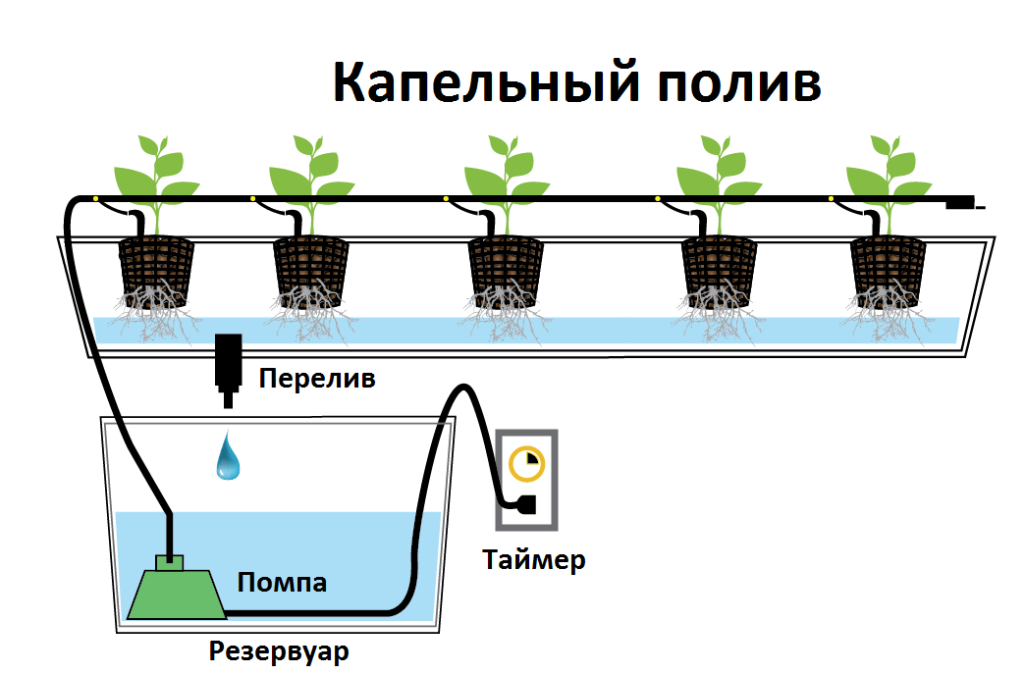 Техника и инструменты для дачи: Капельный полив для гидропоники