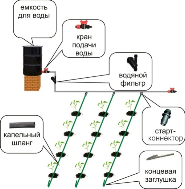 Техника и инструменты для дачи: Схема капельного полива