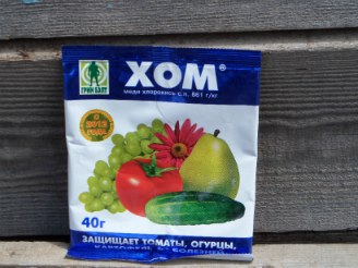 болезни и вредители малины