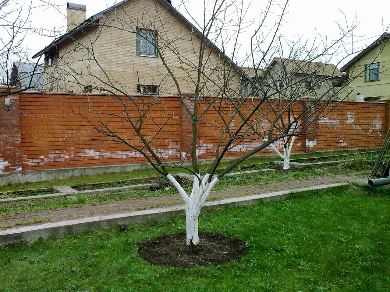 20042010312