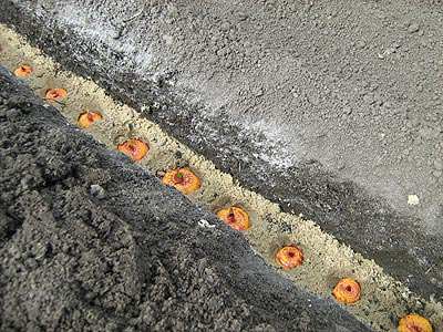99135850_image037