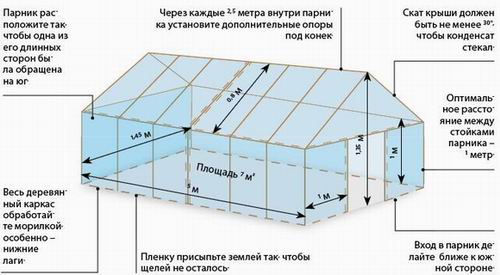 теплица мастер класс