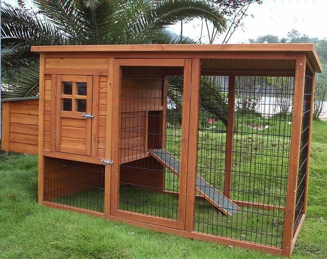 Chicken-Coop