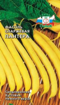 фасоль сорт Пантера фото