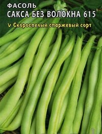 фасоль сорт Сакса 615 фото