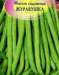 фасоль сорт Журавушка фото