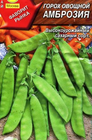 горох сорт Амброзия