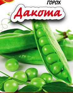 горох сорт Дакота