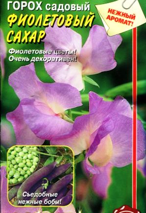 горох сорт Фиолетовый сахар