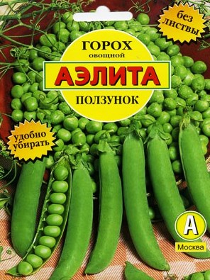 горох сорт Ползунок