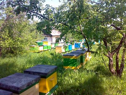 paseka