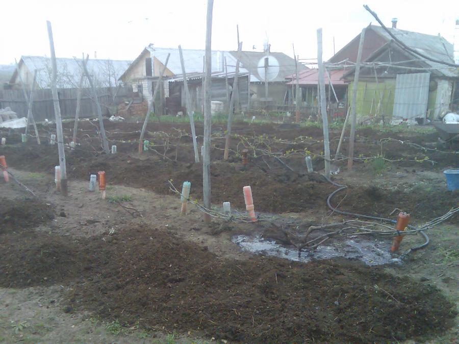 user7862_pic112115_1356679114