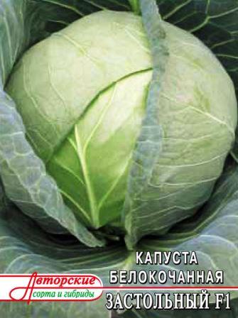 капуста для квашения сорт Застольный фото