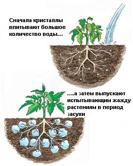 гидрогель