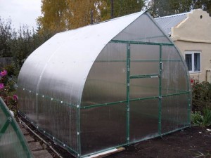 стрельчатая теплица