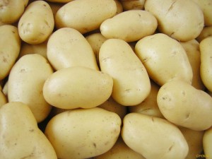 картофель Импала