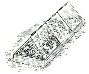 клош