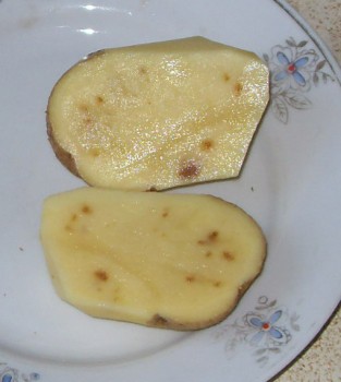 болезни картофеля