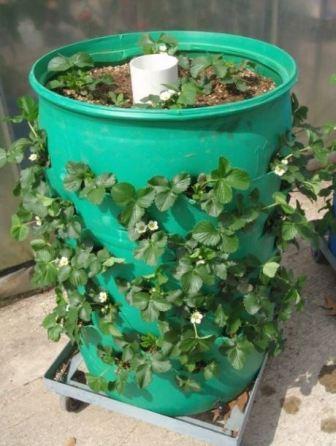 высокие грядки плюсы и минусы