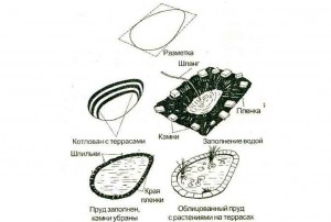 этапы строительства пруда