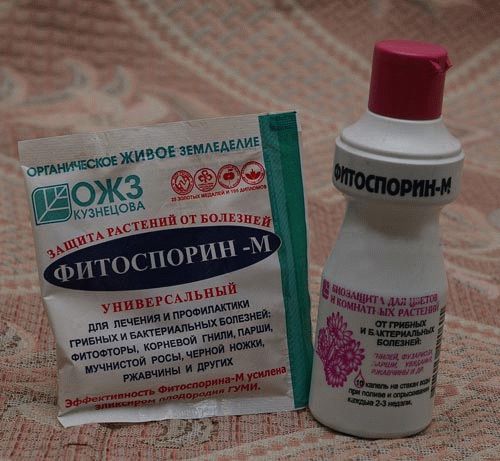 фитоспорин использование