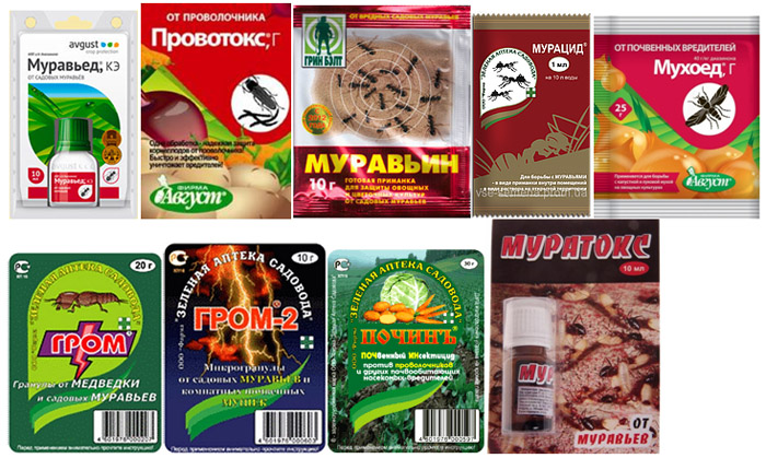 препараты от муравьев