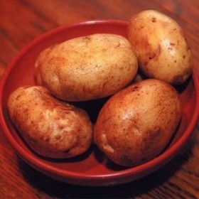 картофель Луговской