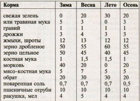 Кормление кур зимой