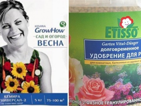 Подкормка роз
