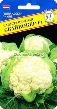 Сорт цветной капусты Скайвокер F
