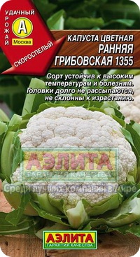 Сорт цветной капусты Ранняя Грибовская