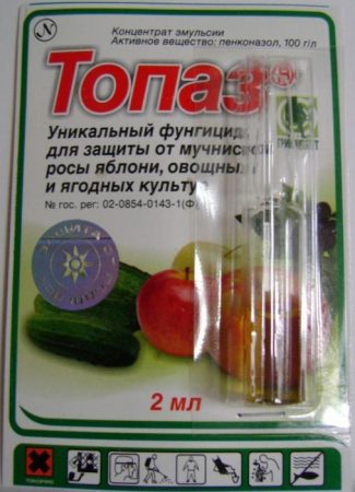 что делать если кабачки гниют на корню