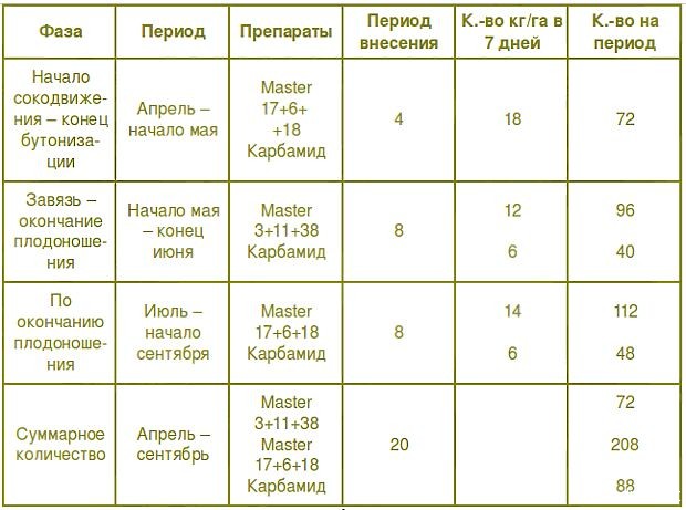 Подкормка земляники садовой по фазам вегетации