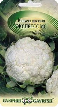 Сорт цветной капусты Экспресс МС