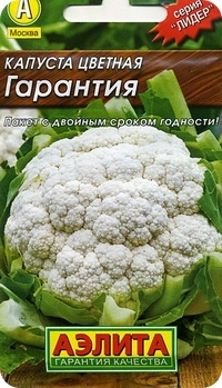 Сорт цветной капусты Гарантия