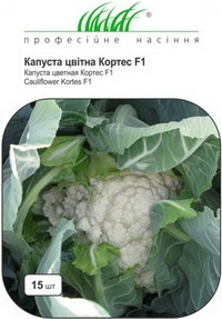 Сорт цветной капусты Кортес F1