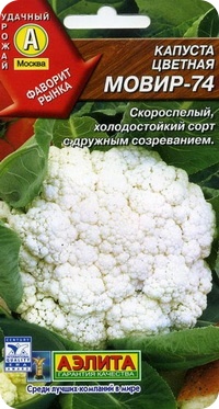 Сорт цветной капусты МОВИР 74