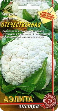 Сорт цветной капусты Отечественная