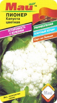 Сорт цветной капусты Пионер