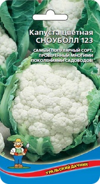 Сорт цветной капусты Сноуболл 123