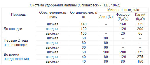 Система удобрения малины по Спиваковскому