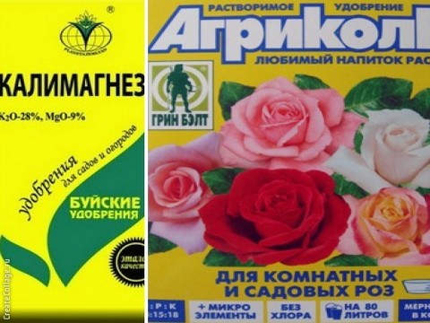 три