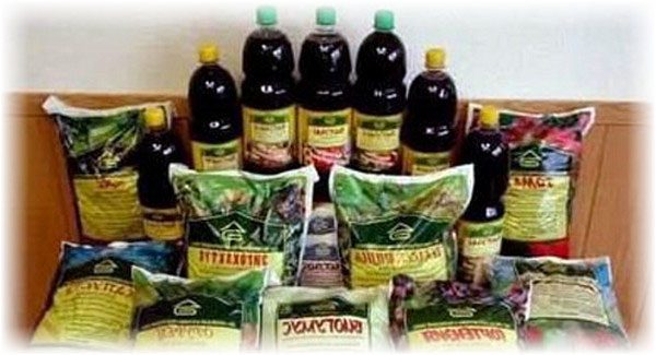 у свеклы краснеют листья чего не хватает