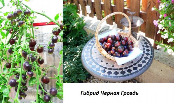 Фото 3