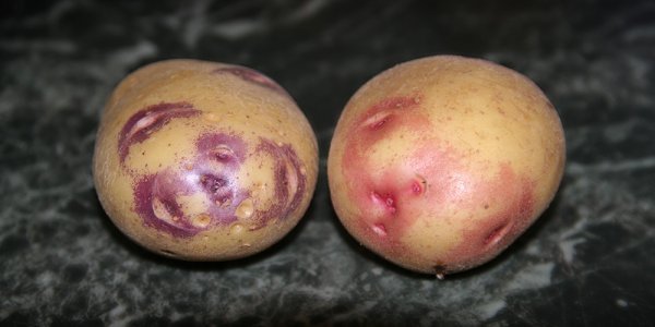 Фото 3
